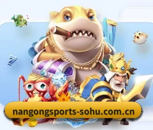 了解平台 - 体育资讯内容服务 - NANGONG SPORTS